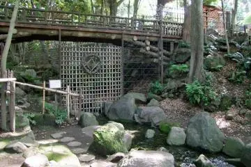 <p>Gorgeous bridges and design</p>