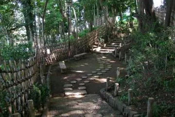 <p>Quaint paths leading through the trees</p>
