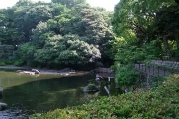 <p>A quiet patch of nature</p>