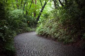 Salah satu dari banyak jalan setapak yang terbuat dari batu