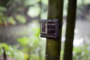 Satu dari banyak tanda di seluruh taman dengan lebel tanaman yang berbeda