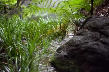 Sebuah air terjun kecil mengalir ke kolam kecil