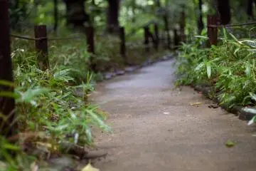 Jalan lain yang mengarah melalui jalur tenang