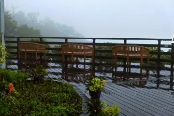 <p>นั่งมองท้องฟ้าและขุนเขาไปกับนานาพืชพรรณ</p>