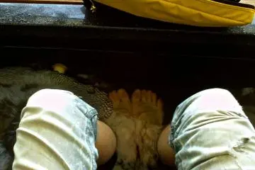 <p>อีกหนึ่งมุมสบายแช่เท้าในบ่อน้ำร้อนสมุนไพร</p>