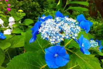 <p>A work of art by Mother Nature</p>