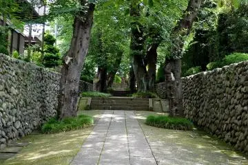 Gallery image