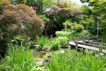 <p>There is a water wheel on the edge of the pond garden</p>