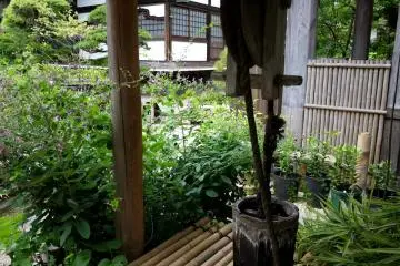 <p>The well seems to be still in use &nbsp;</p>