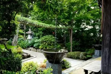 <p>The chain suspended above the water basin is an elegant traditional Japanese alternative to down-pipes for roof run-off</p>