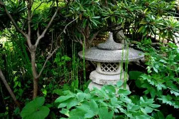 <p>Stone lantern nestled in greenery</p>