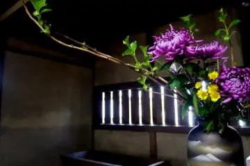 <p>Ikebana in a room with a slatted window</p>
