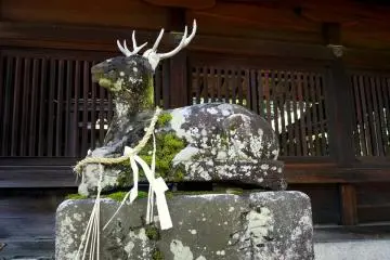 <p>This lichen and moss covered statue of a deer looks very old</p>