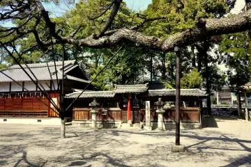 <p>A long pine branch rests on supports in the shrine grounds</p>
