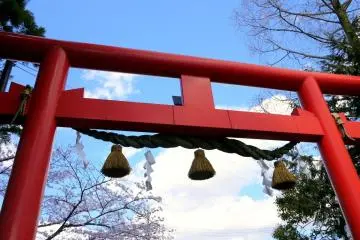 <p>The thick rope garlands on torii are replaced every New Year</p>