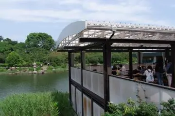 <p>Tables with a view &nbsp;</p>