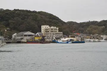 <p>The pier is lined with tour boats that explore nearby scenic islands</p>
