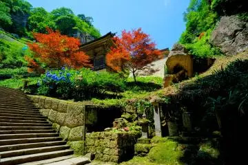 <p>Temples and trees along the way</p>