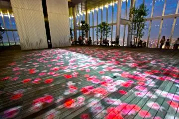 <p>ดอกไม้บานกลางลาน</p>