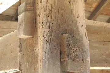 <p>It is really amazing to see how the structures here are built during those time without using a nail</p>
