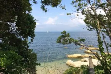 <p>Peeking through the trees that surround the Tomyodo Lighthouse</p>