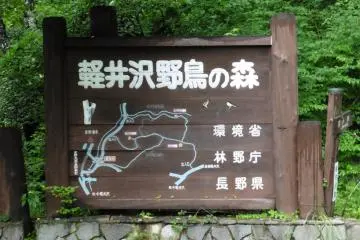 <p>Map at the entrance of the Wild Bird Forest</p>