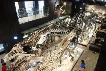 <p>The view of the central exhibit hall is impressive</p>