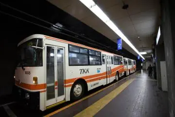 <p>The trolley bus.&nbsp;</p>