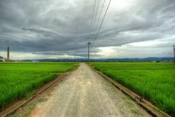 <p>มีทุ่งนาอยู่รอบเมือง ซึ่งคุณสามารถเดินเข้าไปชมได้</p>