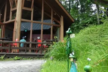 <p>Toys are hidden all over the area</p>