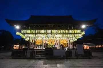 <p>Les lumi&egrave;res et les d&eacute;corations sont magnifiques</p>