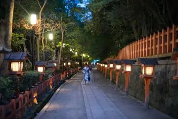 <p>Un chemin que vous pouvez suivre pour une jolie promenade</p>