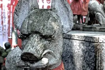 <p>This one looks cunning to me!</p>