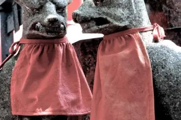 <p>The foxes are often in pairs, perhaps denoting teamwork?</p>
