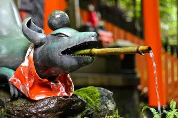 <p>หมาจิ้งจอกสัตว์เทพของเทพเจ้าอินาริ</p>