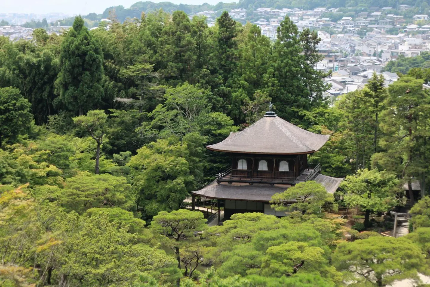 วัดกินคาคุจิ(Ginkakuji Temple)
