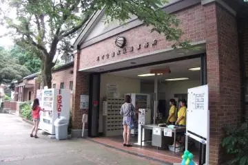 Gallery image