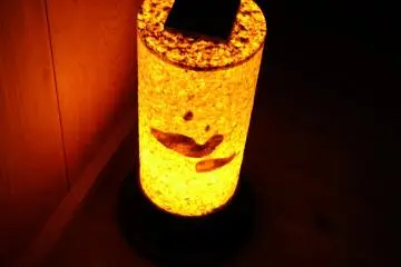 <p>Fish (?) drawn on the surface of the lantern. It looks as though it's made of paper, but actually it's made of plastics (I knocked it to check!) and just on the surface either genuine Washi (Japanese paper) or artificial Washi are used</p>