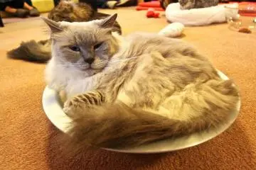 <p>อาหารจากนี้เท่าไร น่าขย่ำมากๆ</p>