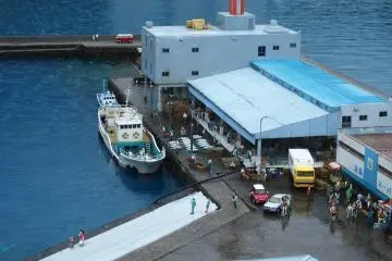 ปลาทูน่าบนท่าเรือรอการขนส่งไปยังการประมูลที่ตลาดซึตคิจิ