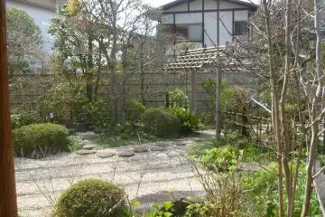 The garden, seen through the window from the lounge