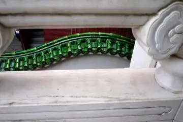 Curved tile ridge in bright green reminds me of bamboo