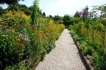 <p>Gravel paths lead between borders crammed with flowers</p>