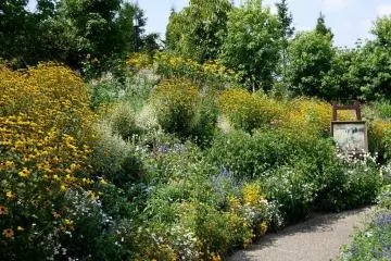 <p>Another painting tucked into a beautiful border</p>