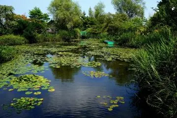 <p>Have we been mysteriously transported to Giverny in France?</p>