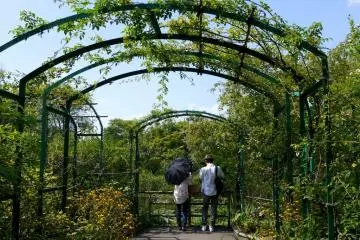 <p>Couple admiring the lily pond from under a pergola</p>