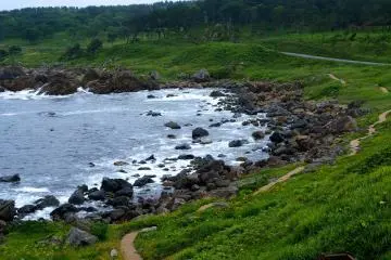 <p>The pathway follows the coastline closely</p>