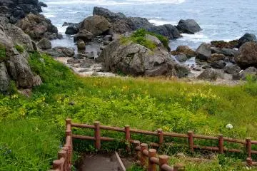 <p>These stairs lead down towards the ocean</p>