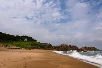 <p>Cliffs and coast on a summer day</p>