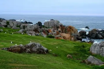 <p>Enjoy the view from the lawn overlooking the ocean</p>